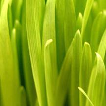 账号兑换码的网站攻击防护